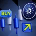 Cardano ADA Price Jumps 8% Today as Whales Buy Return