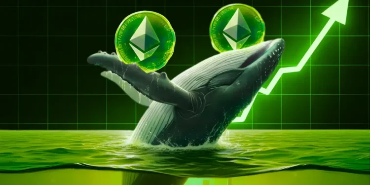 Ethereum Whale Awakens After 9 Years, Moves $145M to Gemini