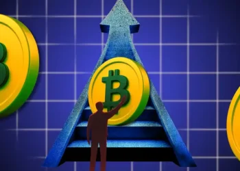 Bitcoin Searches Reach 12-Month High