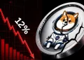 Asteroid Shiba Price Down 14% as Mystery Trader Cashes In After 731,000% Rally