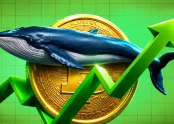 Where are Crypto Whales Buying Next After Bitcoin’s Rally